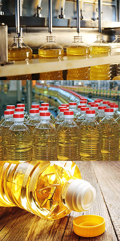 Edible oil production process; Bottling your final product