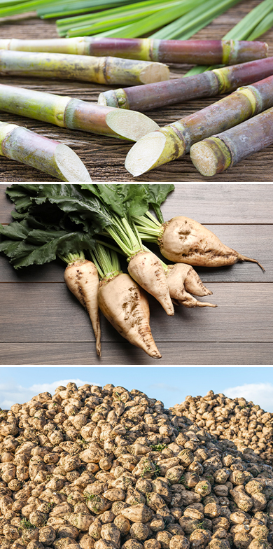 handling-of-base-ingredients