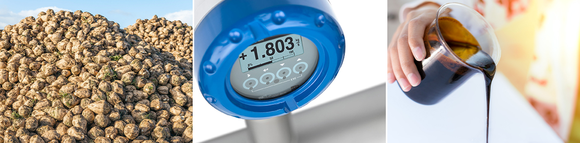 sugar-microsite-header-01