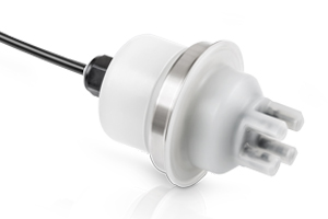 Microsite_New_Food_300x200_4