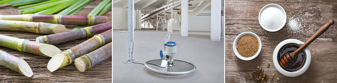 sugar-microsite-header-02